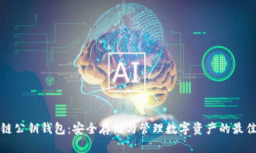 区块链公钥钱包:安全存储与管理数字资产的最佳选择