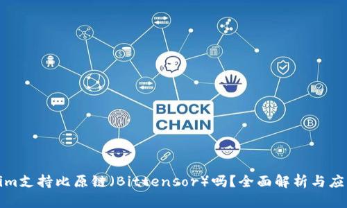 Tokenim支持比原链(Bittensor)吗?全面解析与应用前景