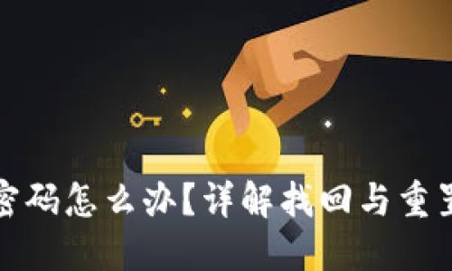 波宝钱包忘记密码怎么办?详解找回与重置密码的全流程