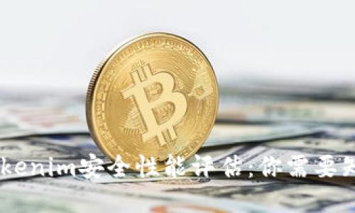 briaotiTokenim安全性能评估:你需要知道的一切