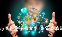Gopay钱包安全性分析：是否存在漏洞？