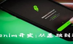 如何进行Tokenim开发：从基础到进阶的全攻略
