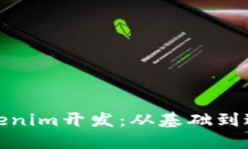 如何进行Tokenim开发：从基础到进阶的全攻略