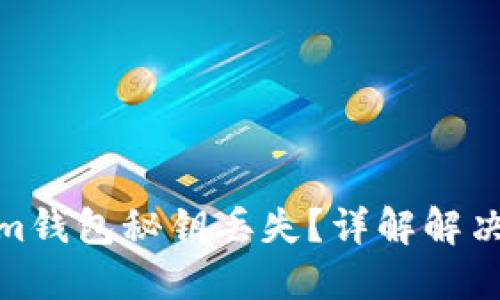 如何应对Tokenim钱包秘钥丢失？详解解决方案与预防措施