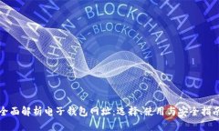 全面解析电子钱包网址:选择、使用与安全指南