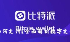 加密货币如何支付？全面解析数字支付的新纪元