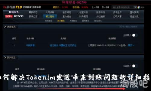 如何解决Tokenim发送币未到账问题的详细指南