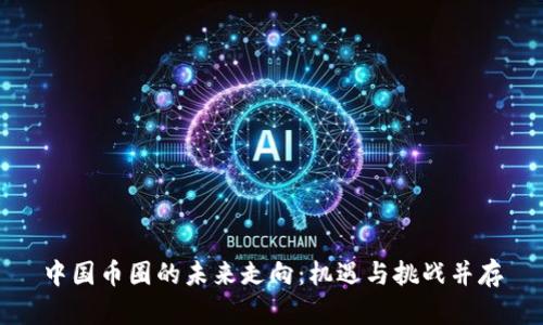 中国币圈的未来走向:机遇与挑战并存