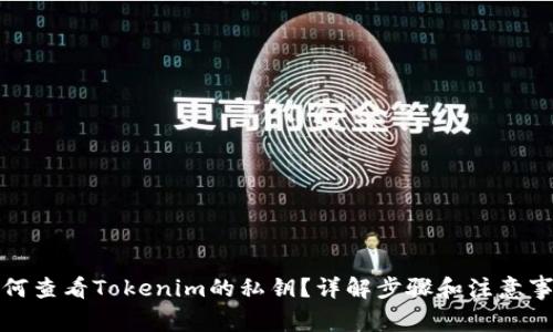 如何查看Tokenim的私钥?详解步骤和注意事项
