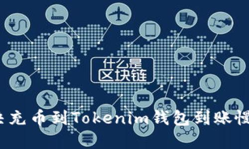 如何解决充币到Tokenim钱包到账慢的问题?