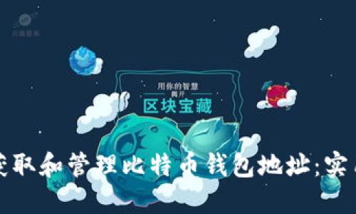 如何获取和管理比特币钱包地址:实用指南