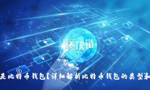 什么是比特币钱包?详细解析比特币钱包的类型和选择