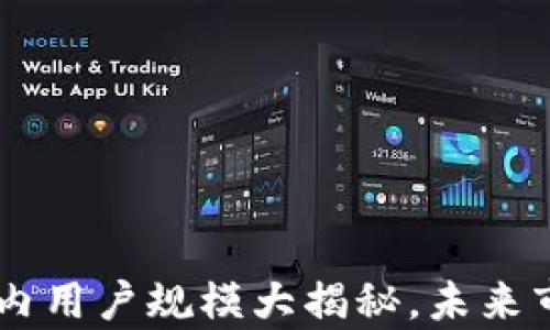 Tokenim:国内用户规模大揭秘,未来市场前景分析