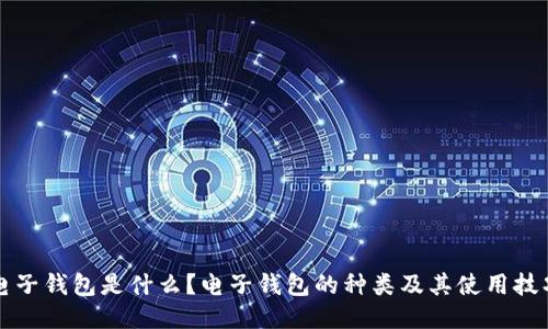 电子钱包是什么?电子钱包的种类及其使用技巧