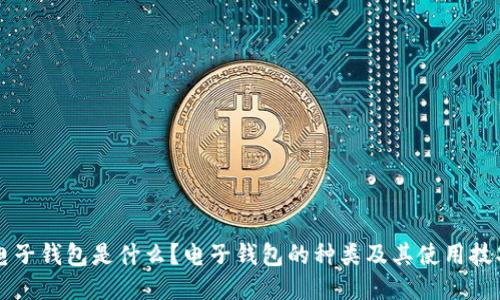 电子钱包是什么?电子钱包的种类及其使用技巧