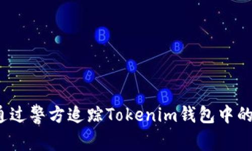 如何通过警方追踪Tokenim钱包中的资金?