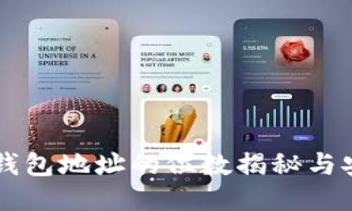 区块链钱包地址的位数揭秘与安全指南