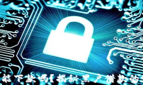 u钱包黑户能下款吗?揭秘黑户借款的真相与技巧