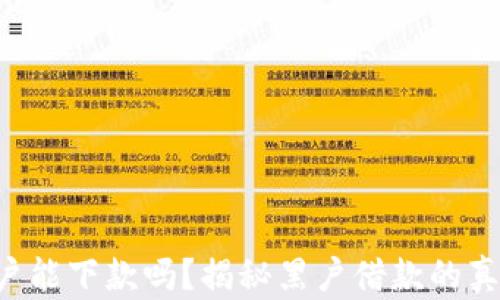 u钱包黑户能下款吗?揭秘黑户借款的真相与技巧