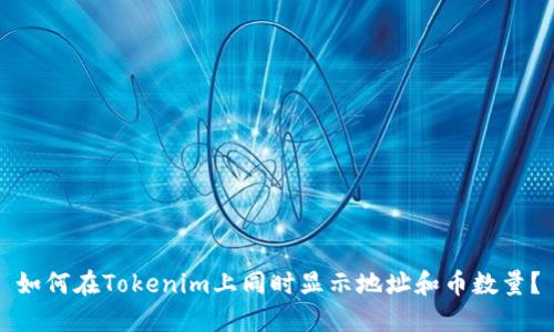 如何在Tokenim上同时显示地址和币数量？
