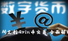 Tokenim交易所支持Grin币交易：全面解析与投资策略