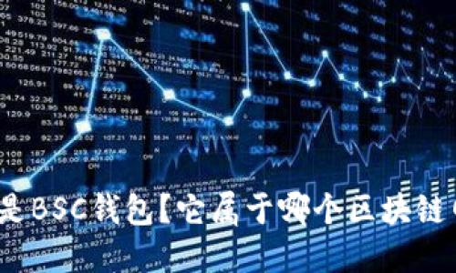 什么是BSC钱包?它属于哪个区块链网络?