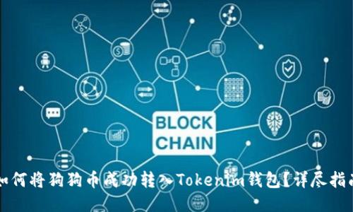 如何将狗狗币成功转入Tokenim钱包?详尽指南