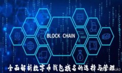 全面解析数字币钱包域名的选择与管理