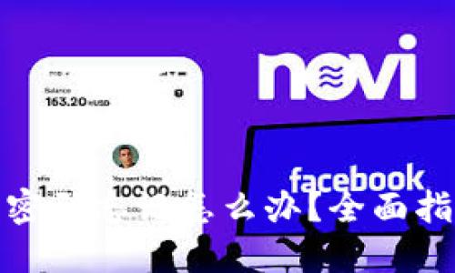 数字货币钱包密码忘记怎么办？全面指导与解决方案