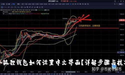 小狐狸钱包如何设置中文界面？详解步骤与技巧