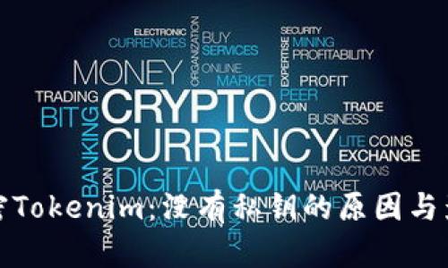 解密Tokenim：没有私钥的原因与影响