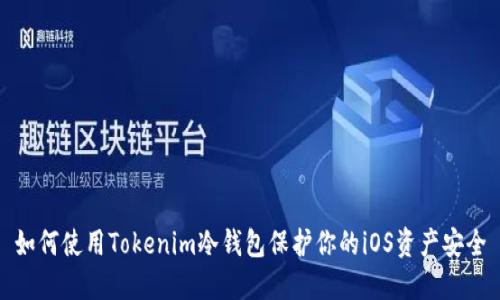 如何使用Tokenim冷钱包保护你的iOS资产安全