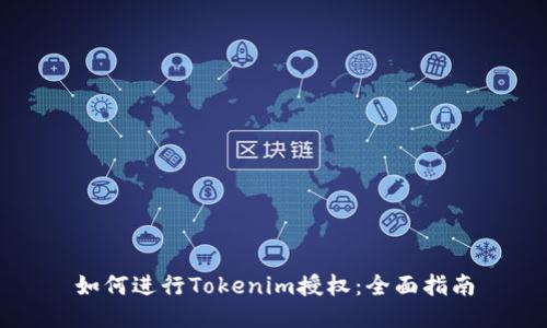如何进行Tokenim授权：全面指南
