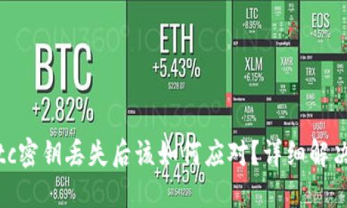  Tokenimetc密钥丢失后该如何应对？详细解决方案与指南