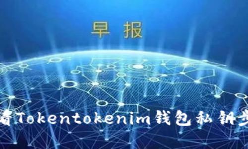 如何查看Tokentokenim钱包私钥步骤详解