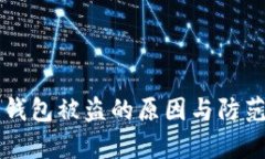 区块链热钱包被盗的原因与防范措施解析